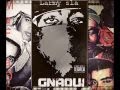 Larmy Sla Gnaoui 