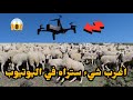 اغرب شيء ستراه في اليوتيوب الغنم تهاجم drone