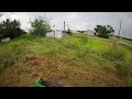 My overgrown property