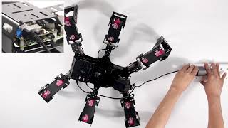 SpiderPi Tutorial--Start SpiderPi