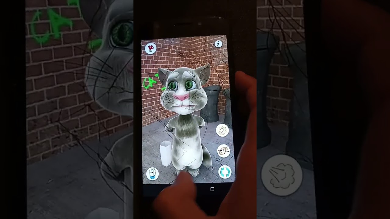 talking tom 2013 version
