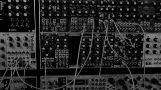Ellende: 4ms Tapographic delay and Intellijel Shapeshifter (Eurorack Modular synthesiser study)