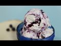 Blueberry Cheesecake - Stella's Ice Cream 2023