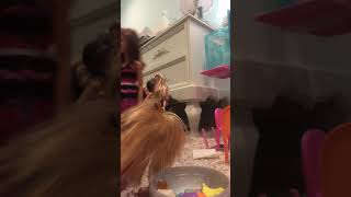 Eva Cleans Up Barbie Dreamhouse Part 1