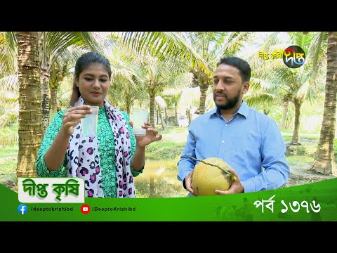 DEEPTO KRISHI | বরিশালে খাটো জাতের নারিকেল চাষে বাণিজ্যিক সম্ভাবনা  | Deepto TV