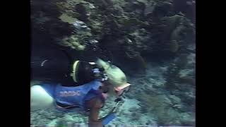 Woman Scuba Diving Over Coral Reef 1980