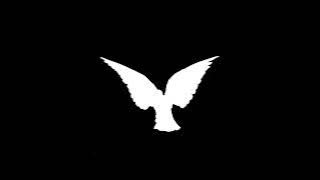 PinkPantheress - Mosquito (Reloaded)