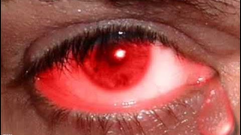 خشوع الشيخ عبد الباسط ماتسير مــن سورة يوسف.