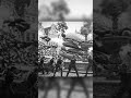 Song: Anrovia - Process