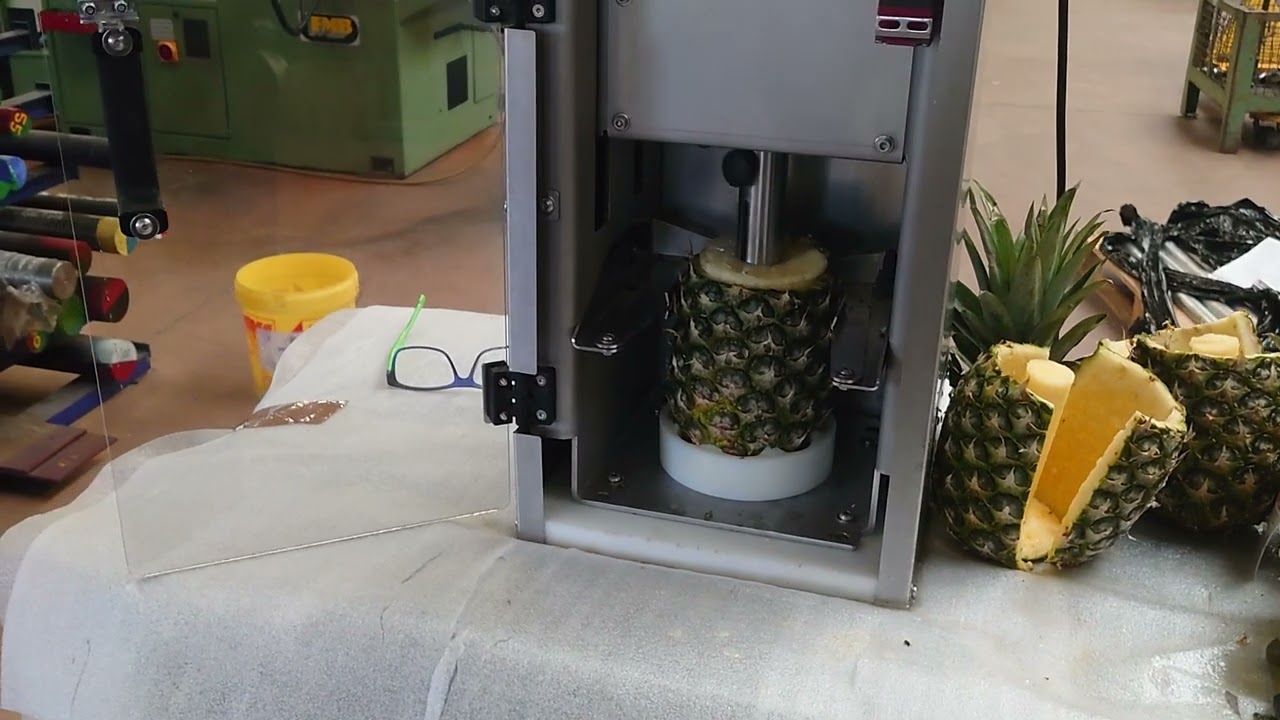 Éplucheur ananas professionnel