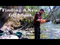 Prospecting in the White Mountain National Forest/ Finding A New Gold Spot