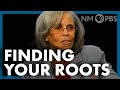 New mexico in focus finding your roots