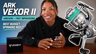 Is this the BEST Budget Spinning Reel?? | Ark Vexor II First Look