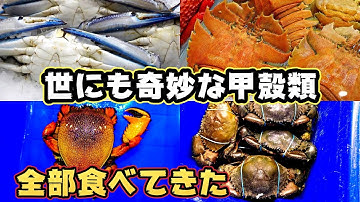 【衝撃】エイリアンみたいなシーフードが並ぶフィッシュマーケットに行ってみたら、ガチでヤバいぐらい美味しかった件【シドニー・フィッシュマーケット後編】。