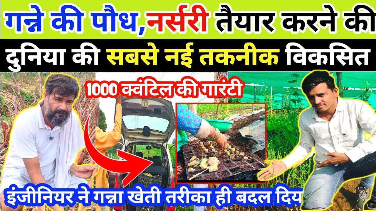 इंजीनियर ने गन्ना खेती का तरीका ही बदल दिया।गन्ने की पौध नर्सरी बनाने की सबसे नई तकनीक।A ToZ जानकारी