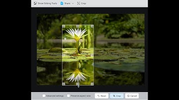 Crop Images with Gwenview – Easy Editing in KDE Linux!