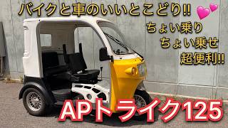 APTrikes125