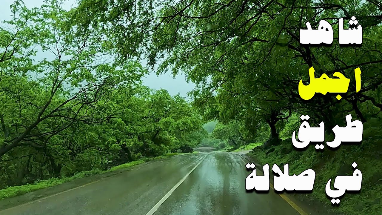 خريف صلالة 2025 | شاهد اجمل طريق في صلالة