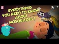 Everything About Mosquitoes | Zika Virus | The Dr Binocs Show | Peekaboo Kidz