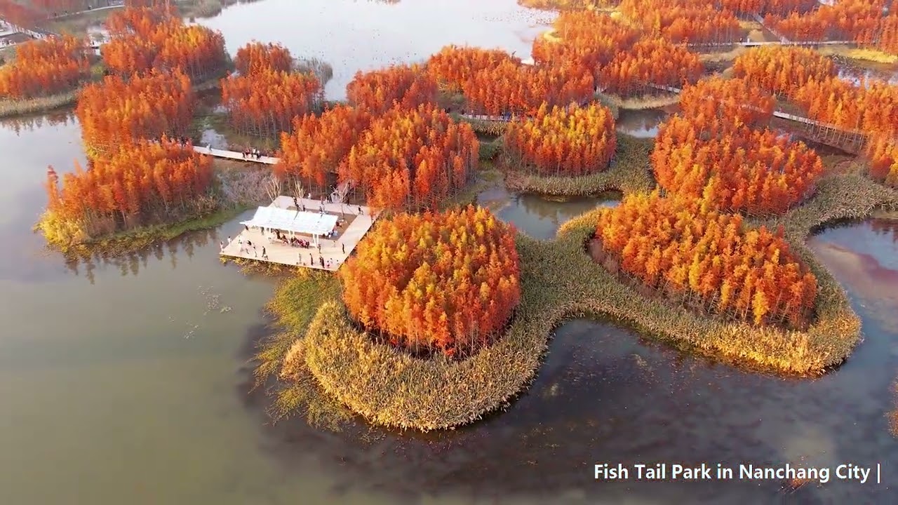 C*L様 THE FRANKLIN TAILORED Fishtail Park A Floating Forest: Fish Tail Park in Nanchang City | Turenscape