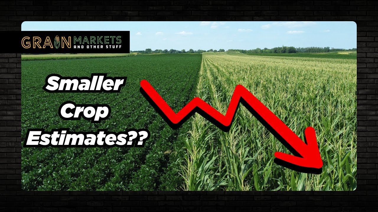 USDA to Cut Crop Estimates? + Joe Attempts Positive Spin on Soybean Situation