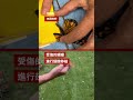 生態復育專家為受傷蝴蝶進行「翅膀移植」－ BBC News 中文 #美國