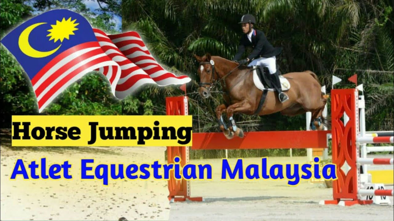 Equestrian jumping Polis Diraja MalaysiaHorse jumping training YouTube