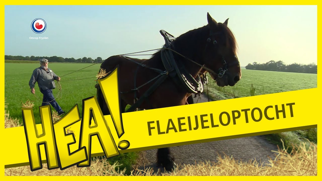 De boerenoptocht op het Flaeijelfeest | HEA!