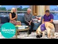 Dog Trained to Help People With Paralysis Takes Off Phillip's Shoe | This Morning