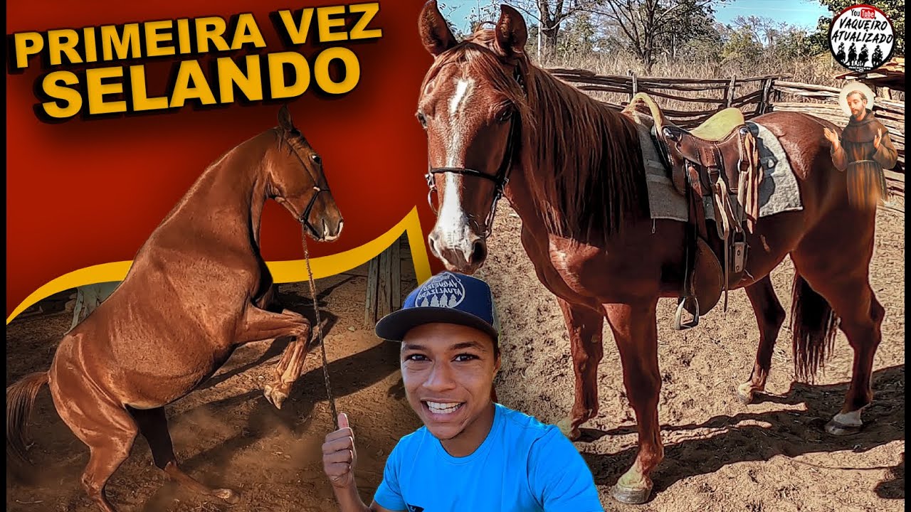 Montando em cavalo pela primeira vez (Com muitos pulos) 