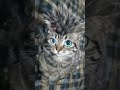 #trending #cute #love #ai
