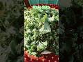 😋Kale Fries #food #vegetables #fried #tasty #healthy #hindisong#shorts #shortvideo