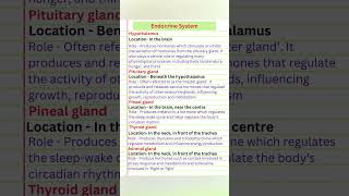 Endocrine System #ytshorts #shorts #trending #education #medical