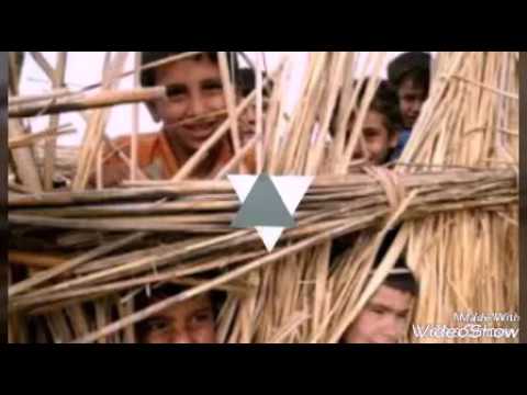 الشاعر جبار الفريجي الى المدينة الفاضلة العمارة