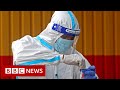 New video by BBC News on YouTube