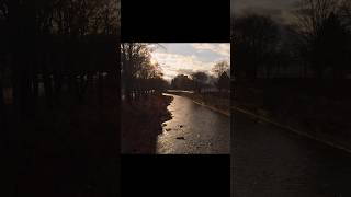 Handheld 16 pro max Dlog colorgraded b-rolls. #prores #iphonexr