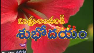 Telugu Good Morning Whatsapp Video - QuotesAdda.com screenshot 3