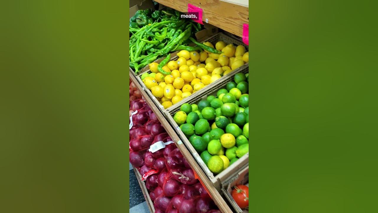 nyc-small-business-opportunity-fund-success-stories-green-tara