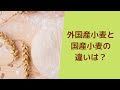 外国産小麦と国産小麦の違い【自家製酵母パン教室ぱん蔵/東京/山梨】