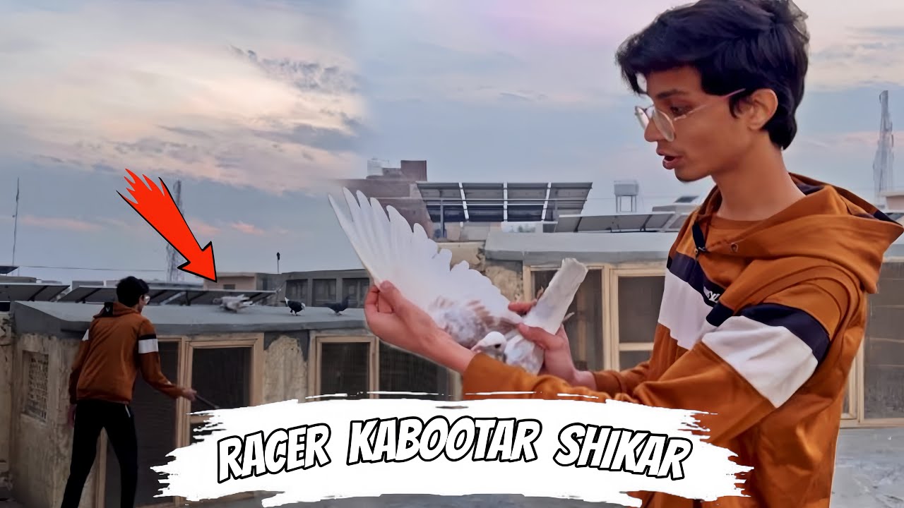 3 din se rolta howa 3000 hazar wala racer kabootar agaya 😱 || Pets Zone 