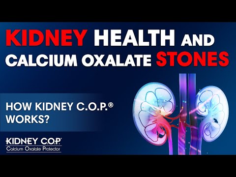 Kidney COP | How Kidney COP works | Dr. Matthew Davis, MD & Pharmacist