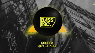 Download Lagu COOPEX - SAY IT NOW MP3