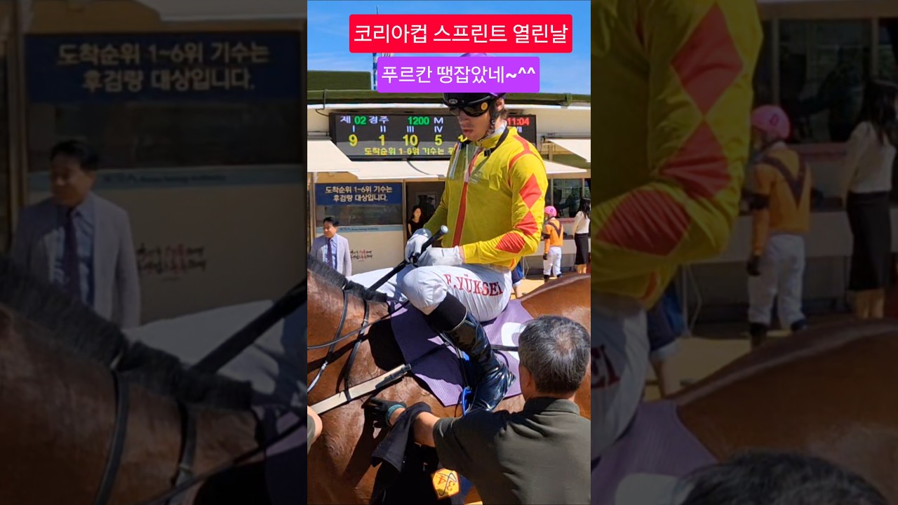 하마대 경마팬 인산인해 #경마 #말 # 달려라말 #shorts