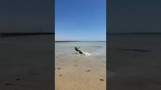 Power Kites - Jumping in Red Sea #shorts