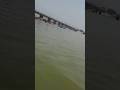 हर हर गंगे | ganga Nadi | haridwar | har ki Pauri | #shorts #harhargange #ganga