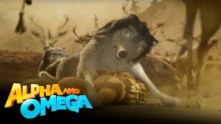 'Humphrey Saves Kate from a Stampede' Scene | Alpha and Omega
