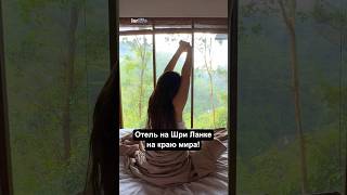 Отель 10 из 10 на КРАЮ МИРА на Шри Ланке! #путешествия #шриланка
