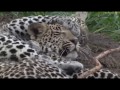 Jan 31, 2017- Hosana resting until along comes his sister Xongile