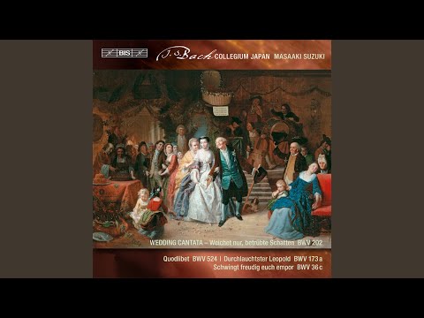 Ver Quodlibet, BWV 524 (Fragment) no YouTube