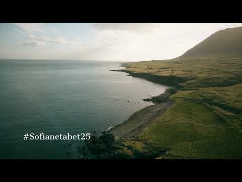 فلسفة السعادة مع سفيان ثابت جديد 